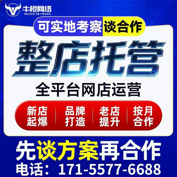 德阳电商代运营