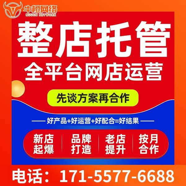 德阳电商代运营