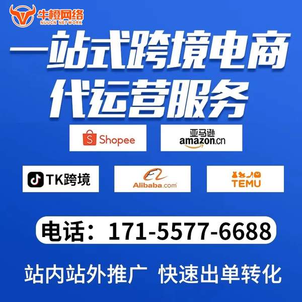 德阳电商代运营
